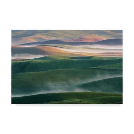 Austin 'Foggy Morning Landscape' Canvas Art,12x19